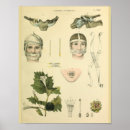 Search for joint art Vintage