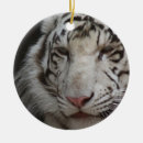 Search for bengal cat christmas tree decorations Animal