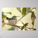 Search for nest posters Branch