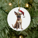 Search for belgian malinois funny home living Puppy