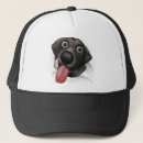 Search for black labrador hats Puppy