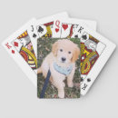 Search for puppy playing cards Golden