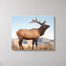 Search for danita delimont canvas prints Wyoming