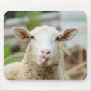 Search for sheeps mousepads Funny sheep