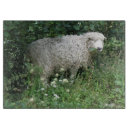 Search for sheep chopping boards Funny