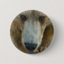 Search for noses photography Animals