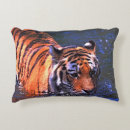 Search for tiger photography Nature