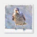 Search for poe magnets Crow