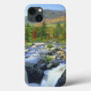 Search for rapids cases Forest