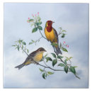 Search for two animals tiles Birds