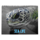 Search for sea life calendars Seahorse