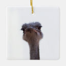 Search for ostrich christmas tree decorations Cute