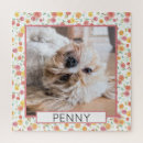 Search for pet photo puzzles Pattern