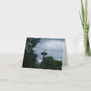 Search for pregnancy announcement cards Mother to be