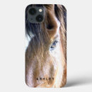 Search for equines cases Horses