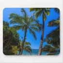 Search for andrews mousepads America