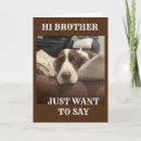 Search for springer spaniel birthday cards Photography
