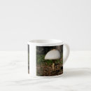 Search for toadstool photography Mushroom