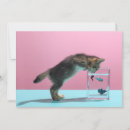Search for fish bowl cards Aquarium