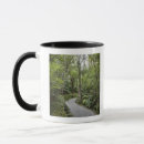 Search for forest path mugs Nature
