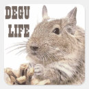 Search for rodent stickers Mouse