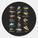 Search for lure stickers Animal