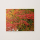 Search for fall foliage puzzles Photography