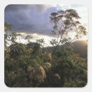 Search for conserve stickers Green