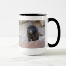Search for bear pictures mugs For him
