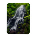Search for danita delimont magnets Tree