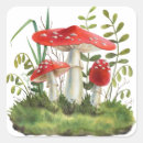 Search for wild mushroom stickers Forest