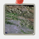 Search for photography christmas tree decorations Horizontal