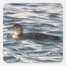 Search for bird scrapbook stickers Scrapbooking