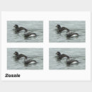 Search for large photo stickers Wildlife