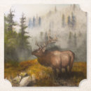 Search for colorado coasters Western