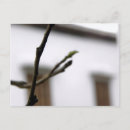 Search for tree spirits postcards Leaves