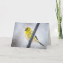 Search for yellow snow postcards Photography