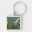 Search for wing key rings Flight