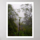 Search for affordable photography Nature