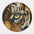 Search for tiger face magnets Predator
