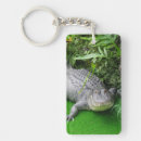 Search for alligator key rings Reptile