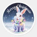 Search for snow bunny stickers Snowflake