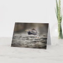 Search for great blue heron cards Herons