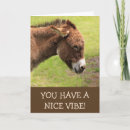 Search for donkey birthday cards Mule