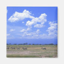 Search for plains magnets Outdoors