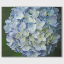 Search for blue hydrangea wrapping paper Beautiful