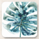 Search for jungle coasters Palms