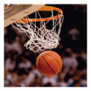 Search for basketballs posters Slam dunk