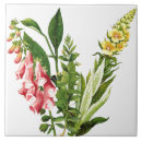 Search for foxglove tiles Flowers