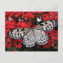 Search for girly horizontal postcards Black